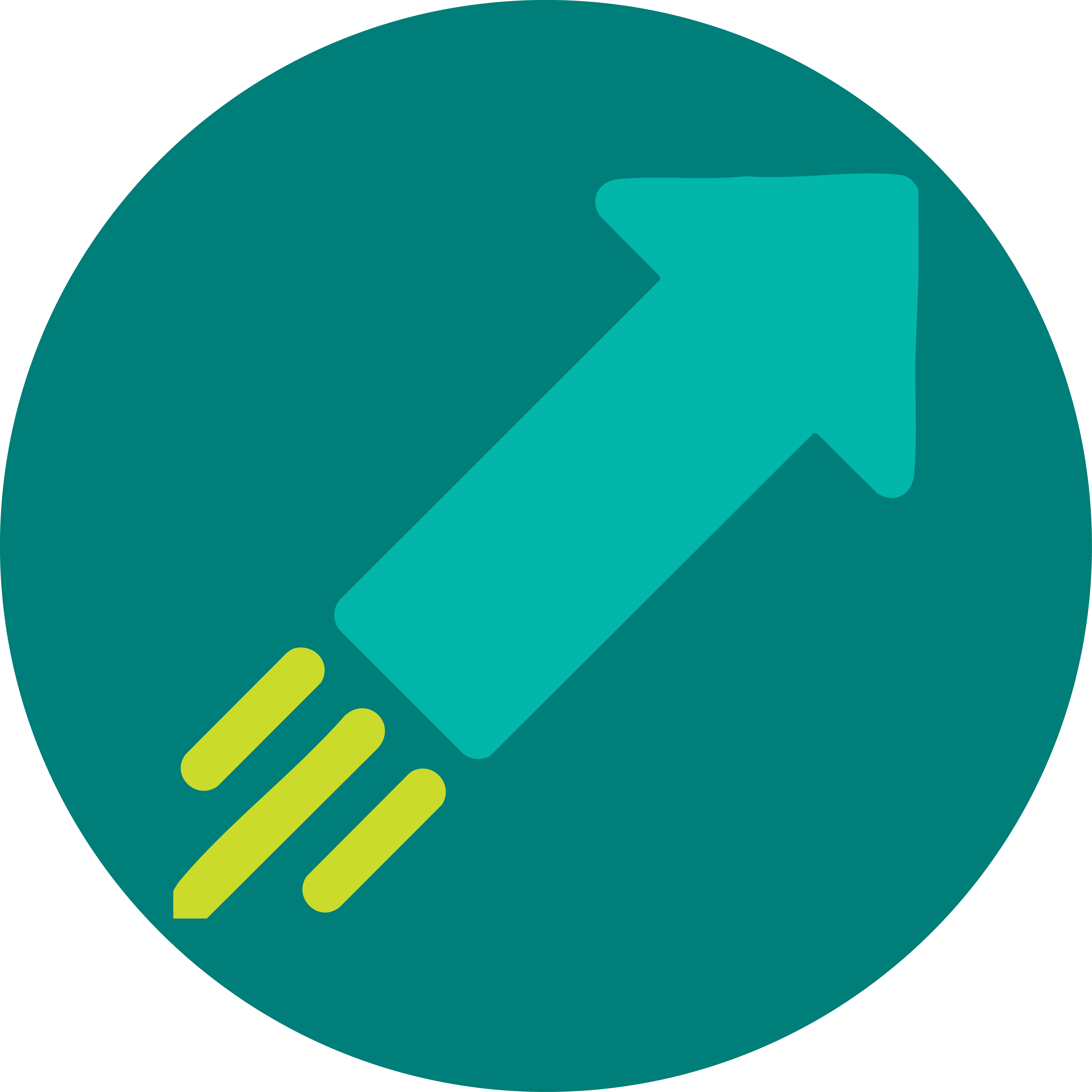 Access to Incubation Program
